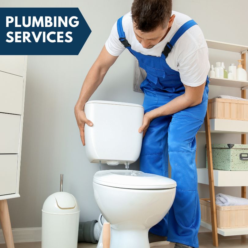Plumbing Company in Saint Louis, MI